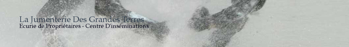 La Jumenterie Des Grandes Terres